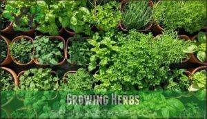 growing herbs