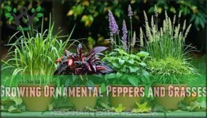 growing ornamental peppers and grasses