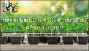 growing tomatoes from seed indoors