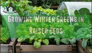 growing winter greens in raised beds