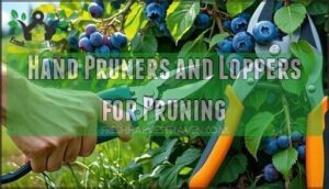 hand pruners and loppers for pruning
