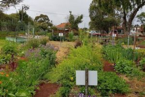 Hilton Harvest Community Garden