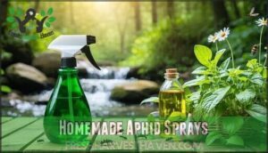 homemade aphid sprays