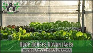 hoop houses advantages
