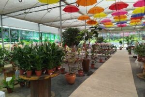 Horto Salvador Garden Center | Flores e Plantas | Floricultura | - Salvador | BA