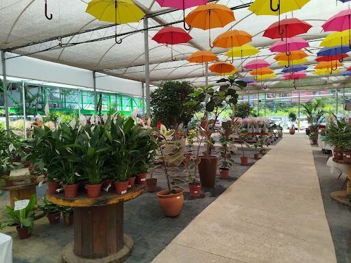 Horto Salvador Garden Center | Flores e Plantas | Floricultura | - Salvador | BA