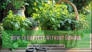 how to harvest without damage