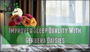 improved sleep quality with gerbera daisies