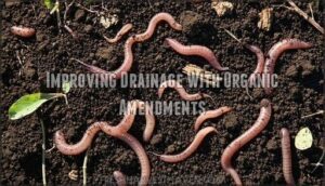 improving drainage with organic amendments
