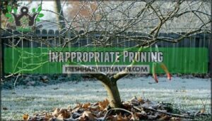 inappropriate pruning