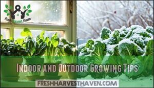 indoor and outdoor growing tips