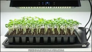 indoor seed starting methods