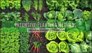 intensive planting methods