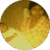 janice dan