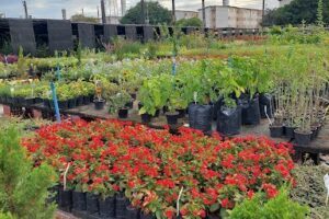 Jardim Terra Vida