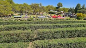 Jardin Botanico Provincial