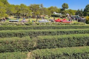 Jardin Botanico Provincial