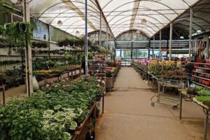 Junkes Garden Center