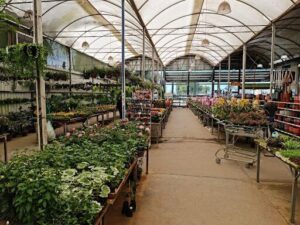Junkes Garden Center