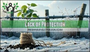 lack of protection