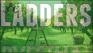 ladders