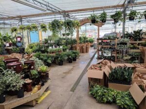 Lakeland Plant World