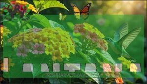 lantana