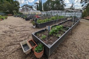 Laurel Avenue Community Garden / Peter Bennett Organic Community Garden