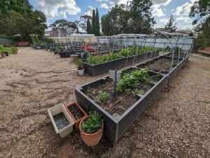 Laurel Avenue Community Garden / Peter Bennett Organic Community Garden