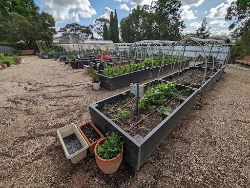 Laurel Avenue Community Garden / Peter Bennett Organic Community Garden