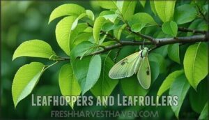 leafhoppers and leafrollers