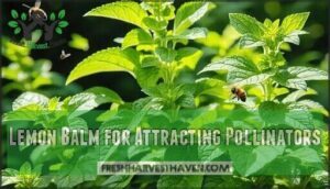 lemon balm for attracting pollinators