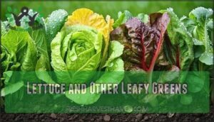 lettuce and other leafy greens