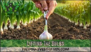 lifting the bulbs