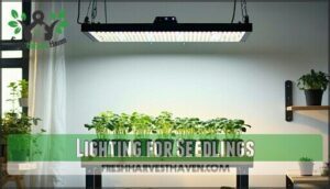 lighting for seedlings