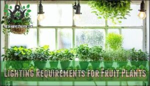 lighting requirements for fruit plants