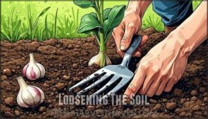 loosening the soil