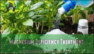 magnesium deficiency treatment