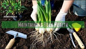 maintaining bulb health