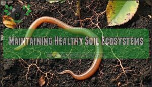 maintaining healthy soil ecosystems