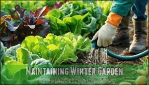 maintaining winter garden