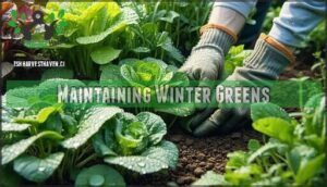 maintaining winter greens