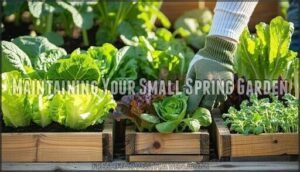 maintaining your small spring garden