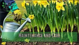 maintenance and care