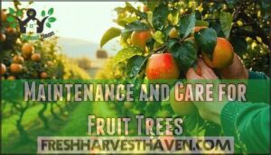 maintenance and care for fruit trees
