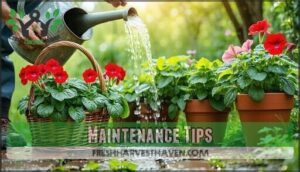 maintenance tips
