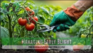 managing early blight