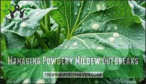 managing powdery mildew outbreaks