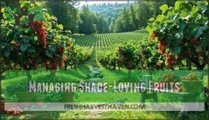 managing shade-loving fruits