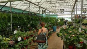 Matsuflora Garden Center Goiânia